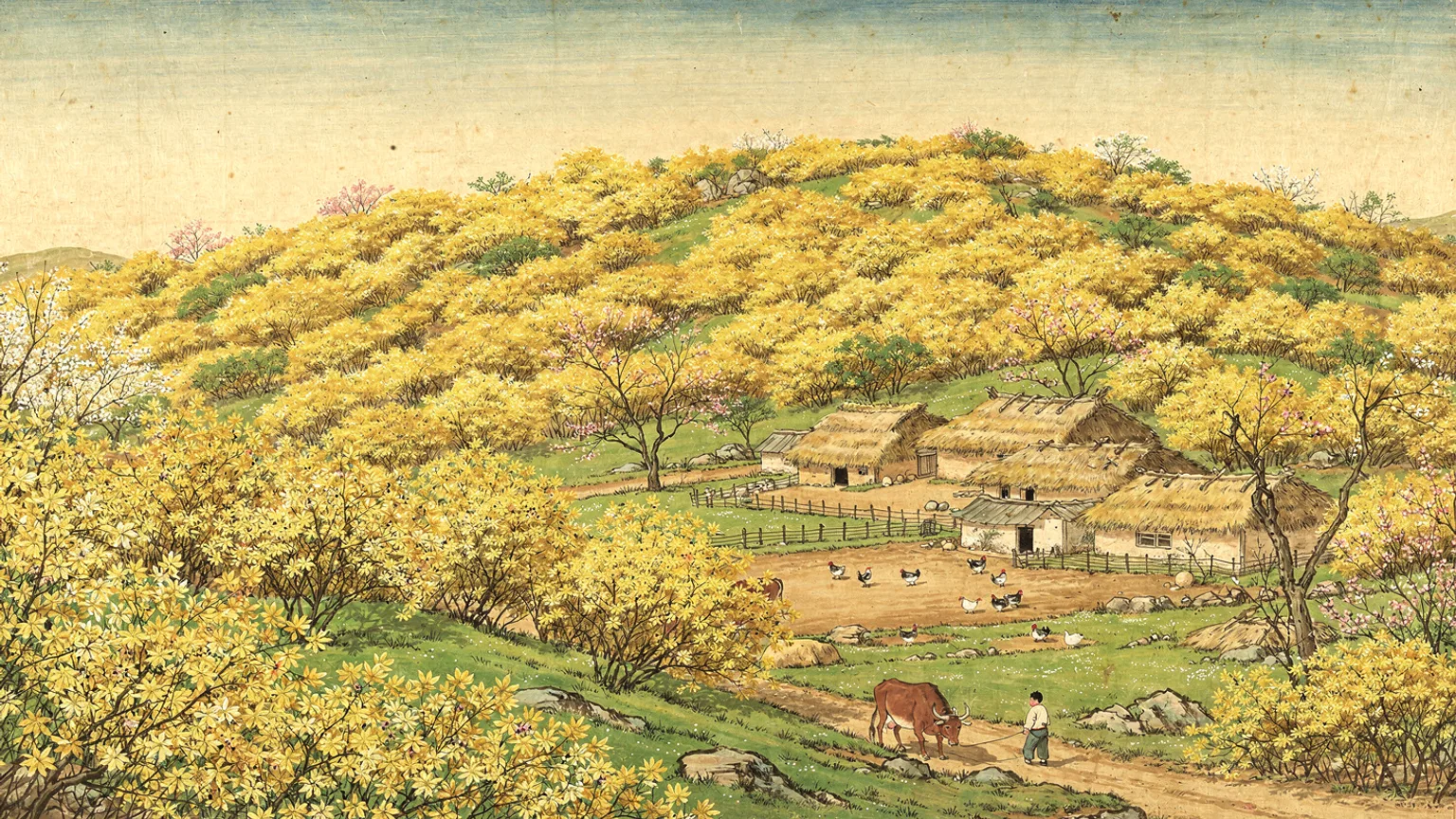 The Camellias